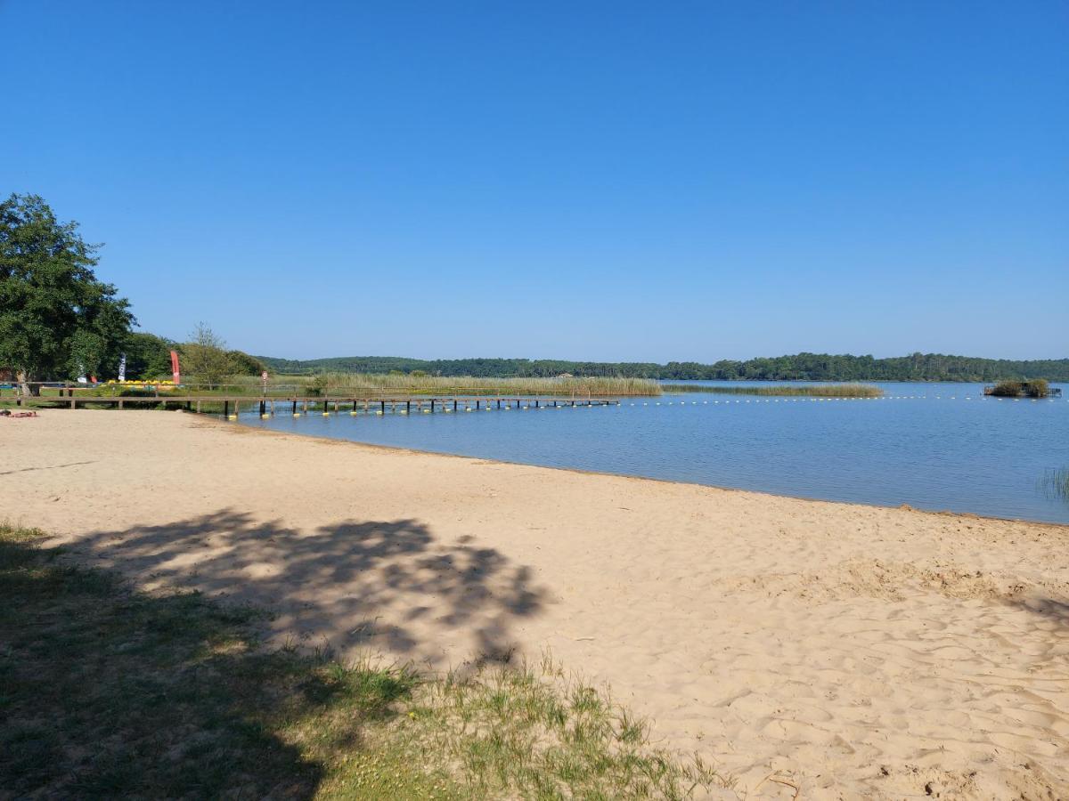T2, 50M Du Lac, Piscine, Wifi, Jardin Terrasse Sans Vis-A-Vis, 1 A 4 Pers Aureilhan  Buitenkant foto