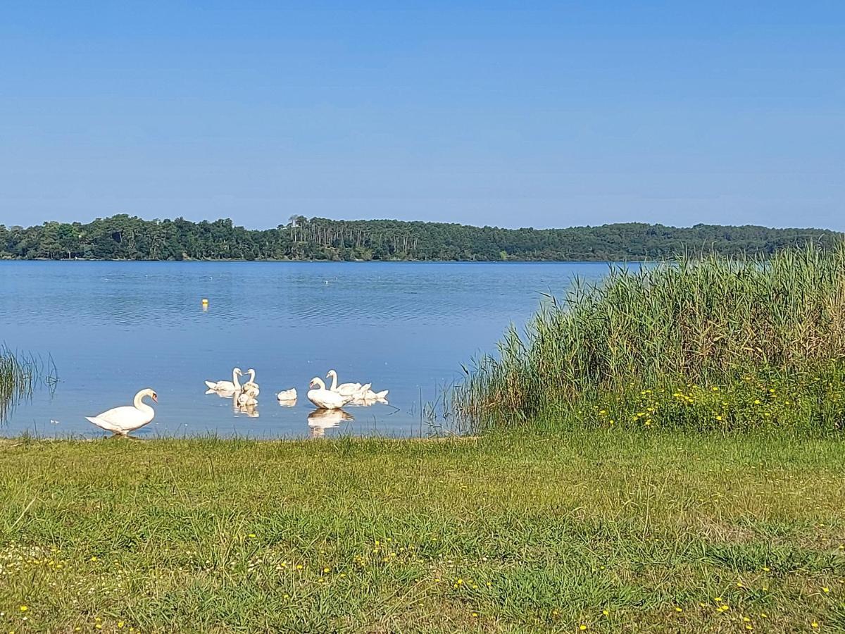 T2, 50M Du Lac, Piscine, Wifi, Jardin Terrasse Sans Vis-A-Vis, 1 A 4 Pers Aureilhan  Buitenkant foto