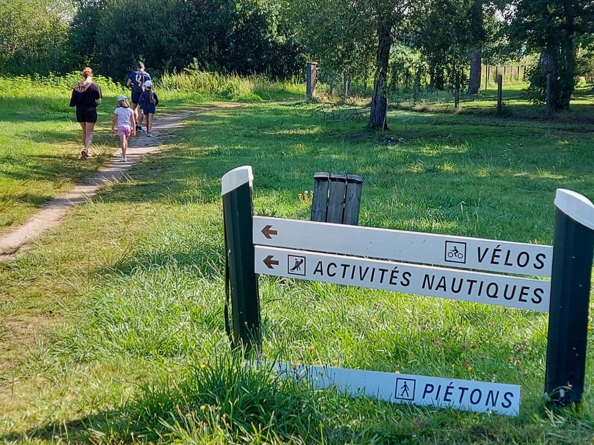 T2, 50M Du Lac, Piscine, Wifi, Jardin Terrasse Sans Vis-A-Vis, 1 A 4 Pers Aureilhan  Buitenkant foto
