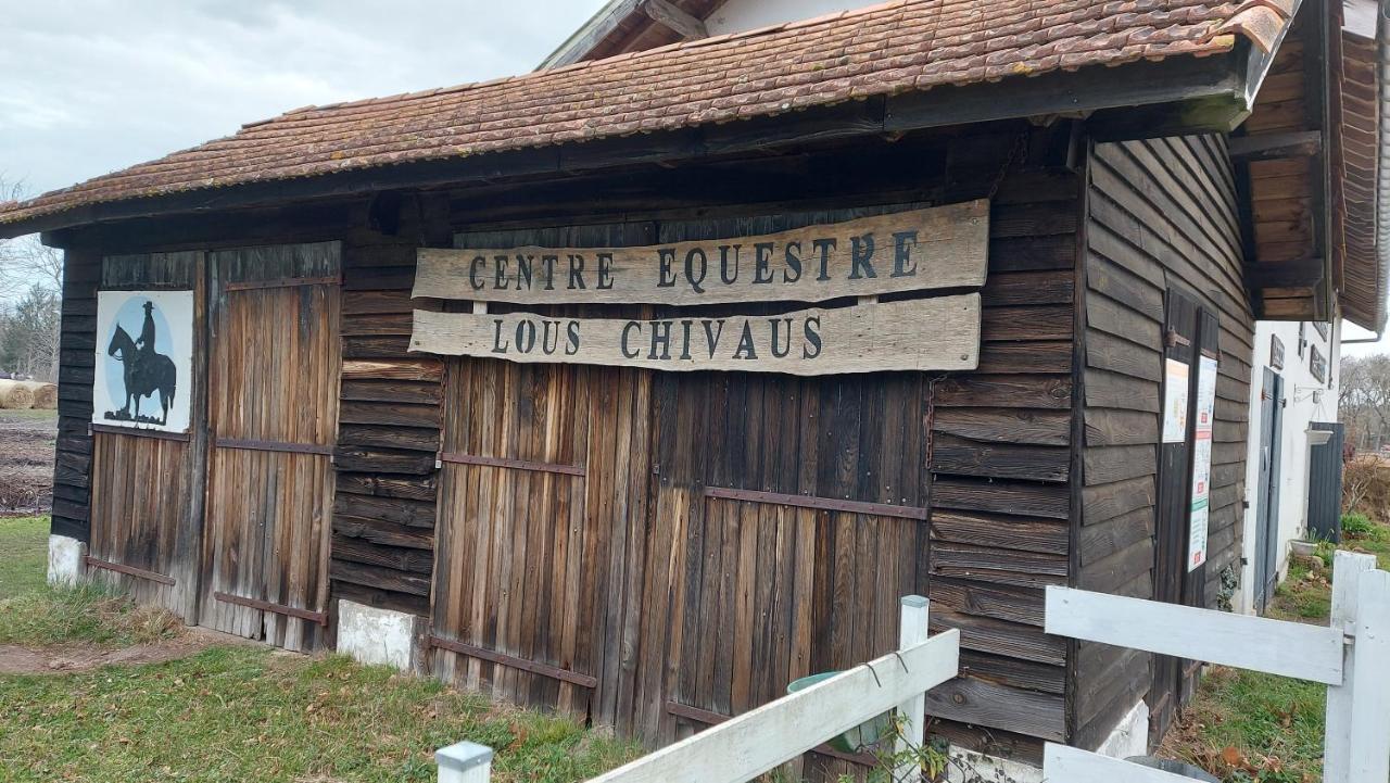 T2, 50M Du Lac, Piscine, Wifi, Jardin Terrasse Sans Vis-A-Vis, 1 A 4 Pers Aureilhan  Buitenkant foto